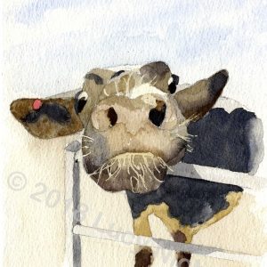 Mad Cow - Watercolour