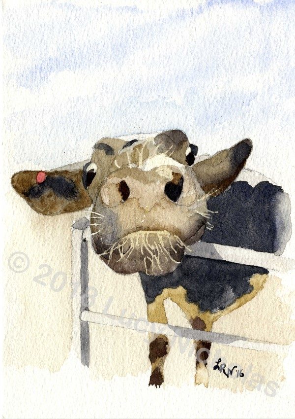 Mad Cow - Watercolour