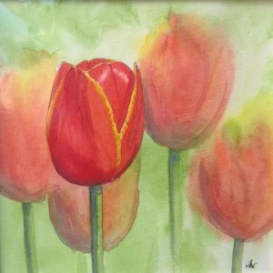 Ruth's Tulips